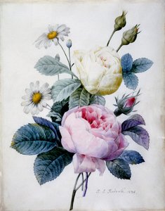 Rosenstrauß mit Gänseblümchen, veröffentlicht 1834